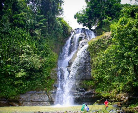 Alfigo: Pengalaman Wisata Seru di Kedawung Tanpa Antre